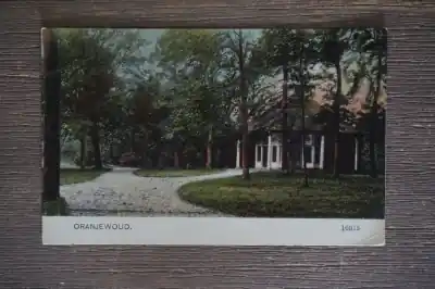 Oranjewoud Wysoka jakość