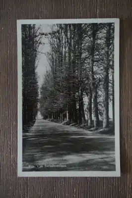 Rijs van Swinderenlaan Kup teraz