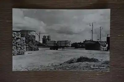 Popularny Bergum Loswal