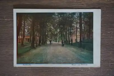 Premium Bussum Bosch van Bredius