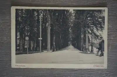 Utrecht Croeselaan Szybka dostawa