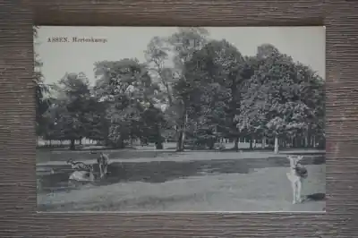 Rabat Assen Hertenkamp