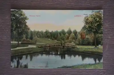 Assen Nieuwe vijver Tani