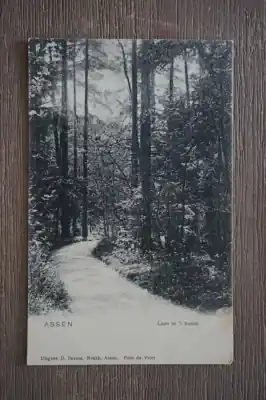 Promocja Assen Laan in 't bosch