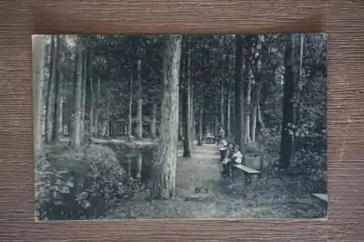 Bezpieczna płatność Assen in 't bosch