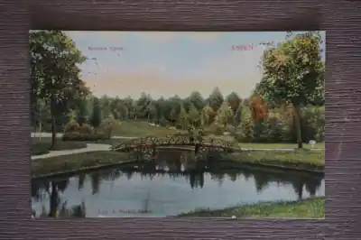 Assen Nieuwe vijver Najlepsza cena