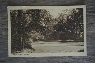 Assen Oude vijver Ostatnia szansa