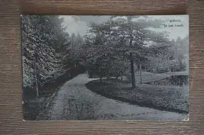 Assen In 't bosch Promocja