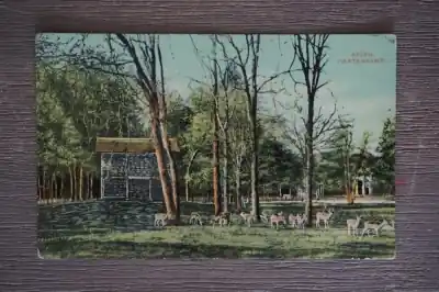 Ostatnia szansa Assen Hertenkamp