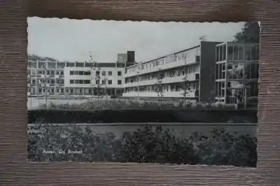 Assen De Boshof Popularny