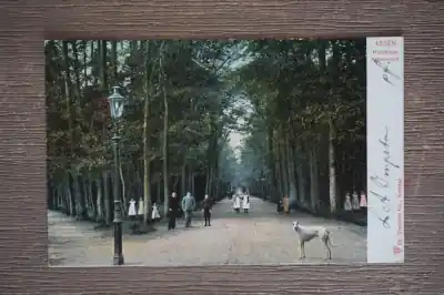 Tylko dziś Assen Hoofdlaan Asserbosch