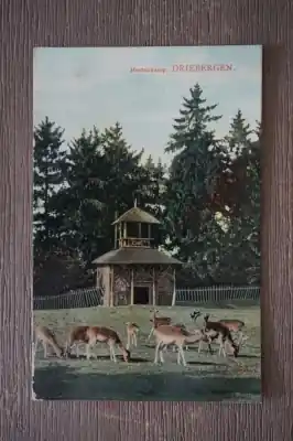 Darmowa dostawa Driebergen Hertenkamp