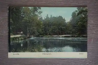 Baarn Pekingkom Szybka dostawa