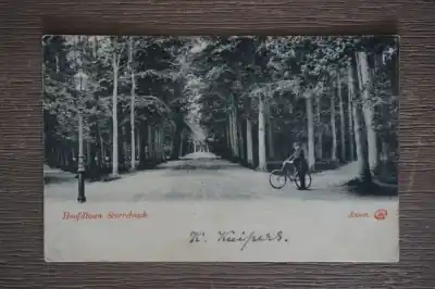 Nowość Assen Hoofdlaan Sterrebosch