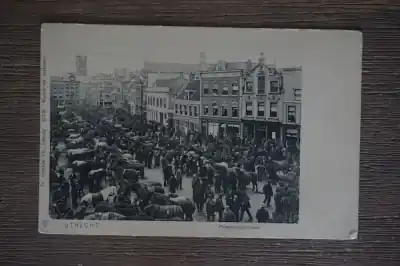 Utrecht Palmpaardenmarkt Bezpieczna płatność