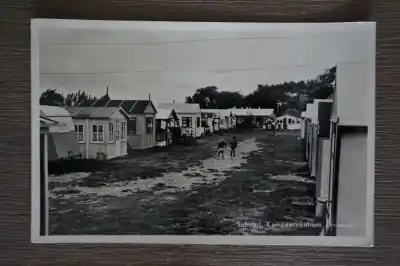 Schoorl Kampeercentrum Jamarco Darmowa dostawa