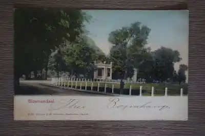 Bloemendaal Autentyczny