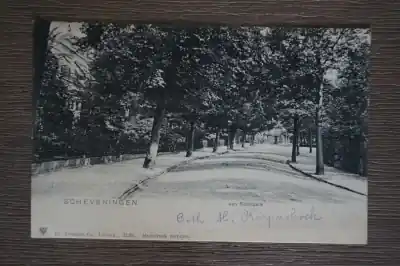 Scheveningen van Stolkpark Popularny