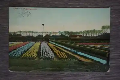 Oferta Heemstede Hiacintenvelden