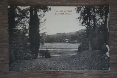 Oryginalny Bloemendaal In duin en daal