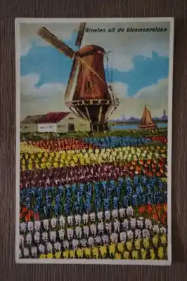 Bloembollenvelden Groeten uit Najlepsza cena