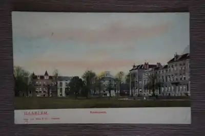 Haarlem Kenaupark Oryginalny