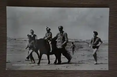 Darmowa dostawa Zandvoort kinderpony op het strand