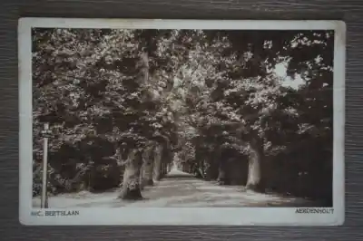 Nowość Aerdenhout Nic. Beetslaan