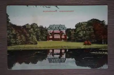 Tani Bloemendaal Boschgezicht