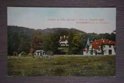 Tani Bloemendaal Gezicht op Villa Karmel Duin en Daalsche park