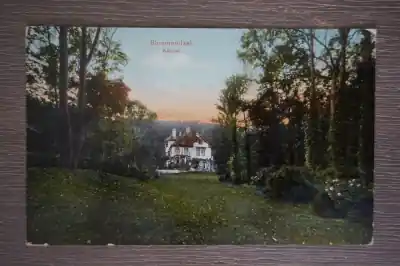 Tani Bloemendaal Karmel