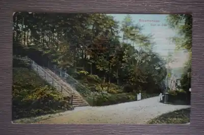 Ostatnia szansa Bloemendaal Duin en Daal