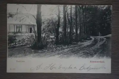 Bloemendaal Beeklaan Oryginalny