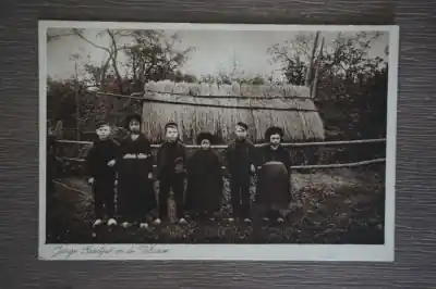 Veluwe Jonge paartjes Popularny