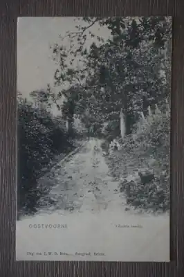 Oostvoorne 't Zwarte laantje Najlepsza cena