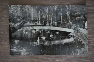 Oferta limitowana Wassenaar Duinrell Zwanenvijver