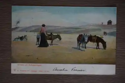 Autentyczny Scheveningen Groeten uit