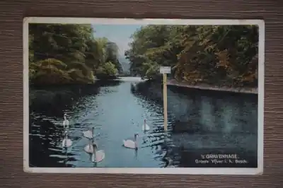 Oferta limitowana Den Haag Groote vijver in het bosch