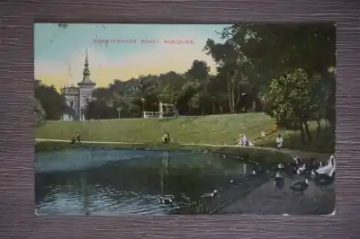 Den Haag Scheveningsche boschjes Tylko dziś