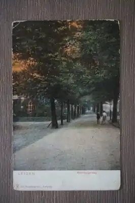 Leiden Rijnsburgerweg Wyprzedaż