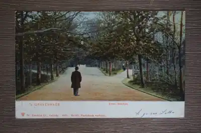 Autentyczny Den Haag Scheveningsche boschjes