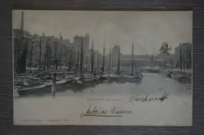 Tani Rotterdam Leuvehaven