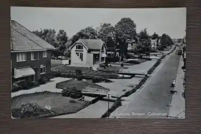 Oryginalny Boskoop Burgem. Colijnstraat