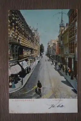 Den Haag Lange poten Najlepsza cena