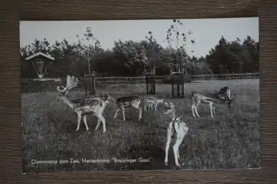 Oostvoorne Hertenkamp Kruininger Gors Szybka dostawa