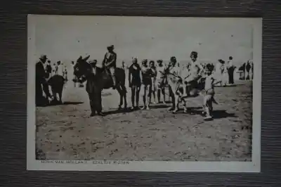 Hoek van Holland Ezeltje rijden Oferta limitowana