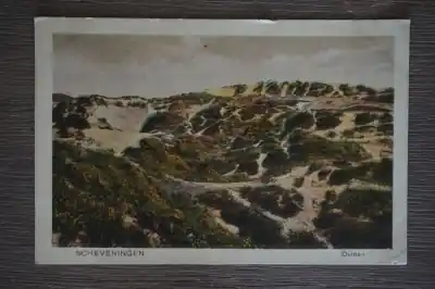 Scheveningen Duinen Niska cena