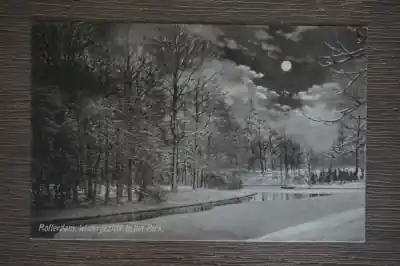 Rotterdam Wintergezicht in het park Szybka dostawa