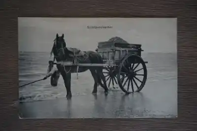 Scheveningen Schelpenvisscher Ostatnia szansa