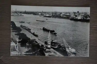 Rotterdam Maasgezicht Nowość